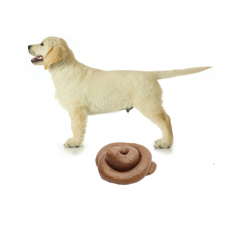 Fake Poop Gag Gift - 面白いいたずら用うんちスクイーズ玩具 - 巨大でリアルな偽うんちストレスボール、ジョークや不安解消のための爆笑ギフト