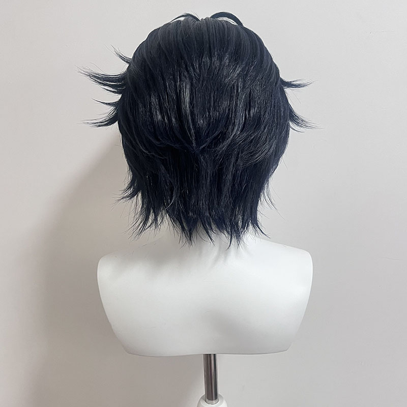 【スタイリング済みウィッグ】朝巴春馬 コスプレウィッグ ZZ - Anime Cosplay Wig Heat Resistant のレビューと価格